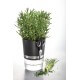 Pot à Herbes GEFU - Modèle Botanico - Capacité 500ML - GF18920