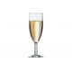 Flute à champagne 17cl Savoie ARCOROC 2289